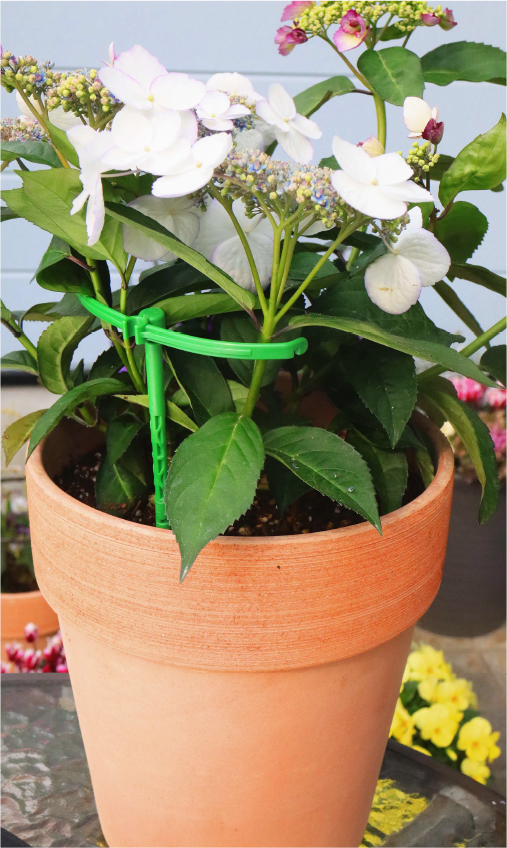 観葉植物　支柱　花卉用資材　プランツハンガーミニイメージ