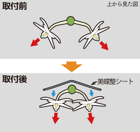 花の向きを見栄え良く効率的に調整する 美蝶整シートイメージ