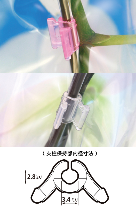 胡蝶蘭、洋蘭の支柱とビニールを簡単固定 しちゅうホルダーＬイメージ