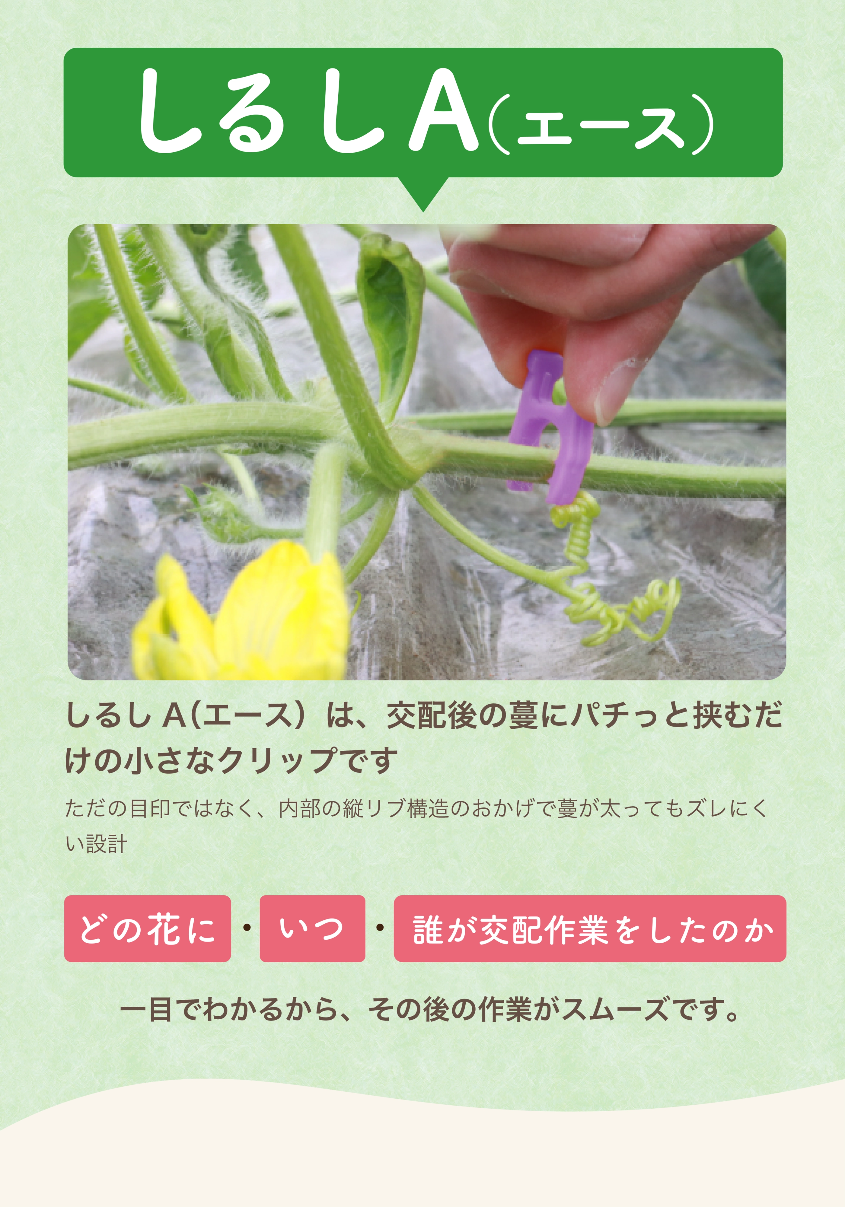 しるしA（エース）お問い合わせ・サンプル請求｜農業・園芸用の総合