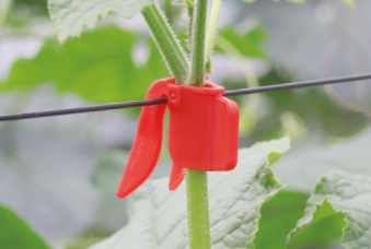 ペリカンキャッチ （誘引紐取付用）トマト誘引 農業資材の有限会社シーム